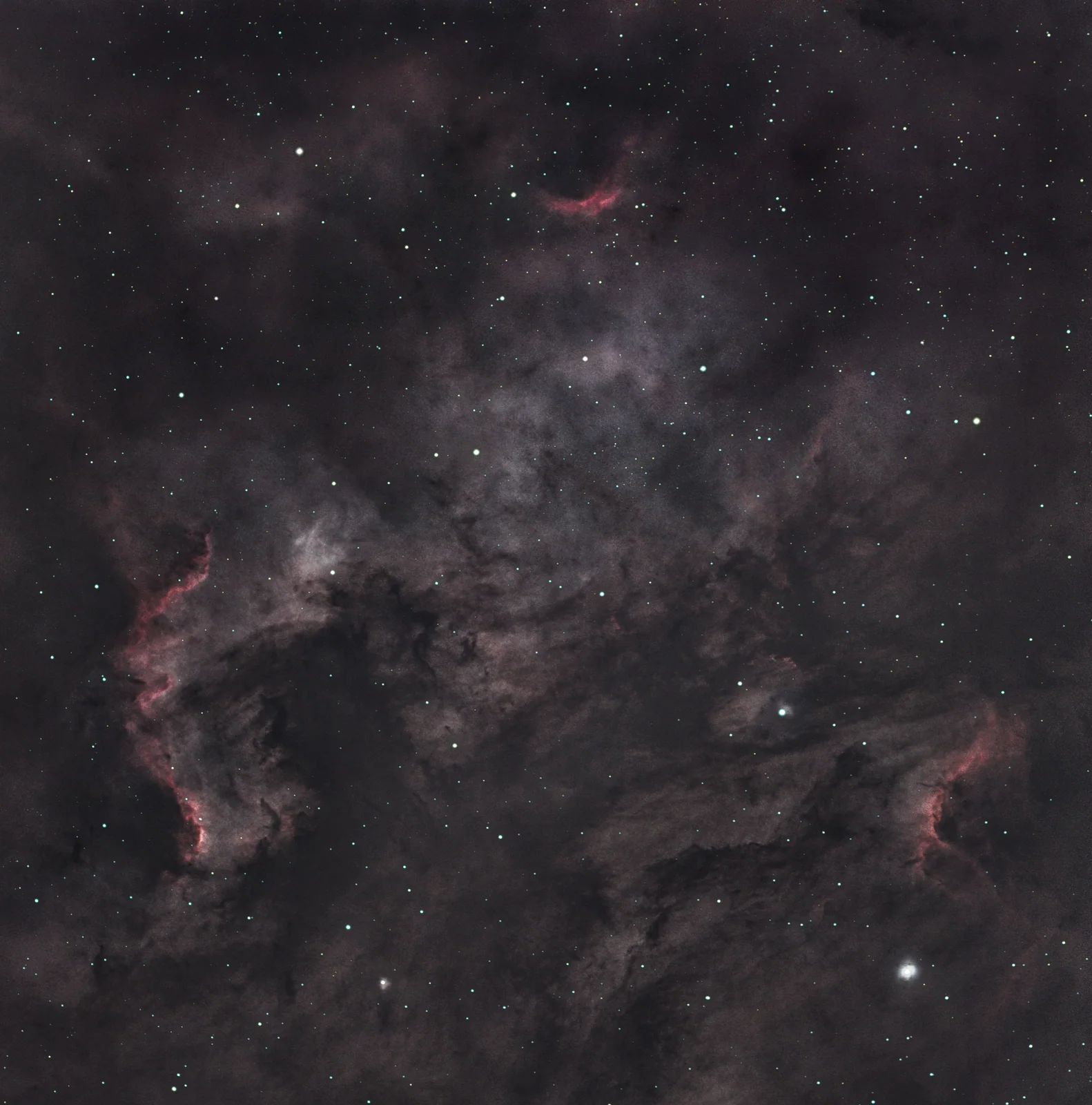 The North America Nebula